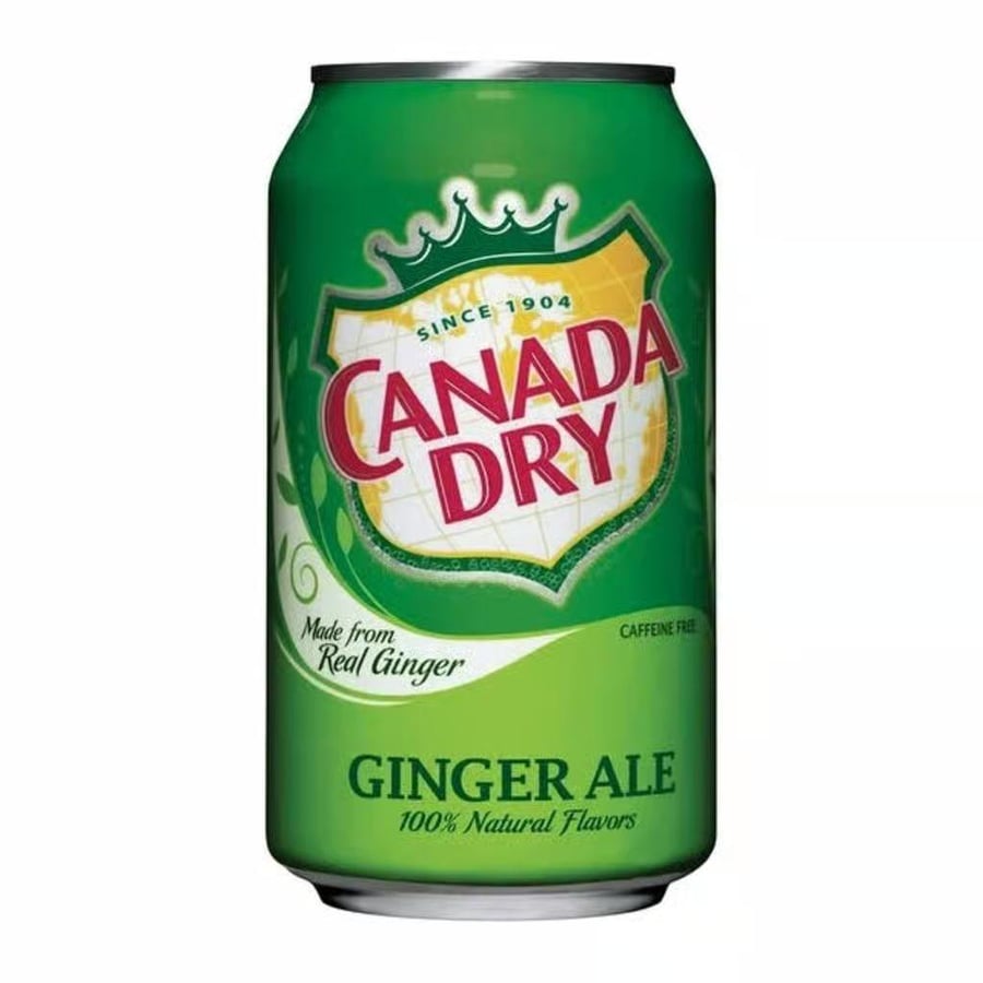 Ginger Ale Soda (12oz) — Taibat Restaurant Artesia